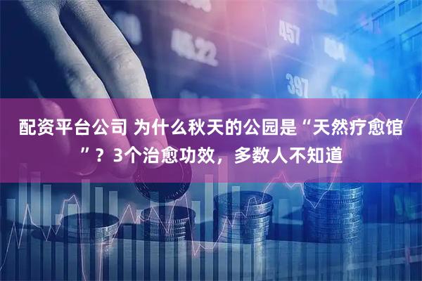 配资平台公司 为什么秋天的公园是“天然疗愈馆”？3个治愈功效，多数人不知道