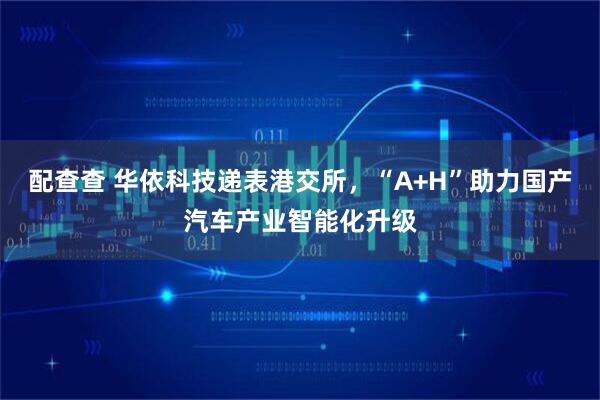 配查查 华依科技递表港交所，“A+H”助力国产汽车产业智能化升级